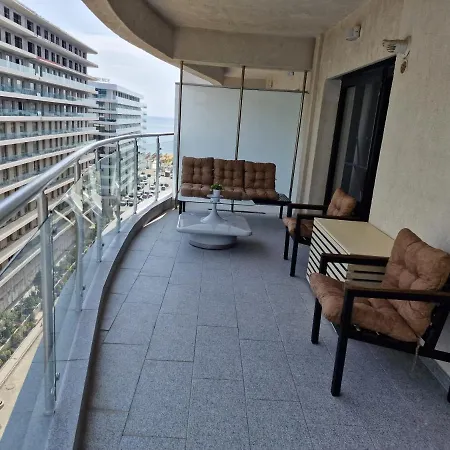 Apartment 81