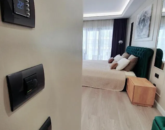 81 アパート ママイア